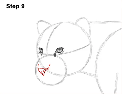 Draw Jaguar Big Cat 9
