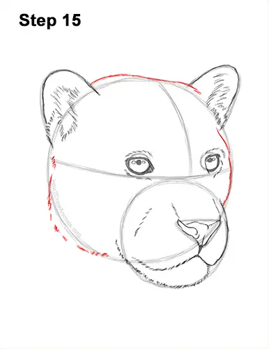 How to Draw a Jaguar Head Portrait Face 15