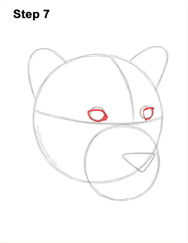 How to Draw a Jaguar Head Portrait Face 7