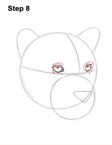 How to Draw a Jaguar Head Portrait Face 8