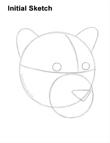 How to Draw a Jaguar Head Portrait Face Guides Lines