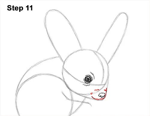 How to Draw Long-Eared Jerboa 11