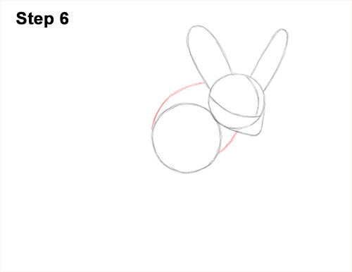 How to Draw Long-Eared Jerboa 6