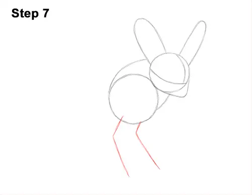 How to Draw Long-Eared Jerboa 7