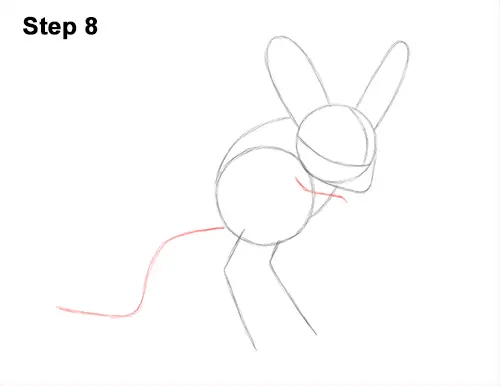 How to Draw Long-Eared Jerboa 8