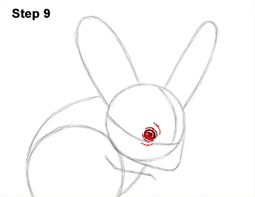 How to Draw Long-Eared Jerboa 9