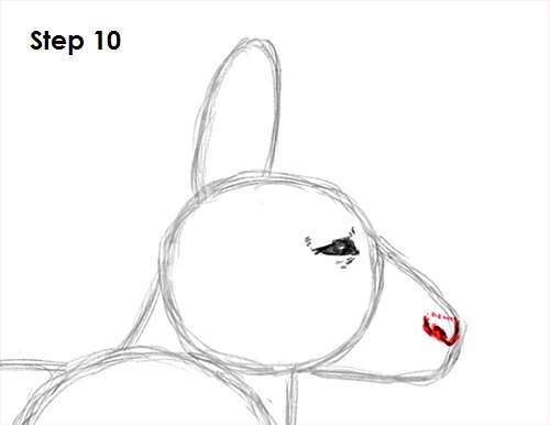 Draw Kangaroo 10