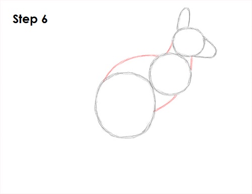 Draw Kangaroo 6