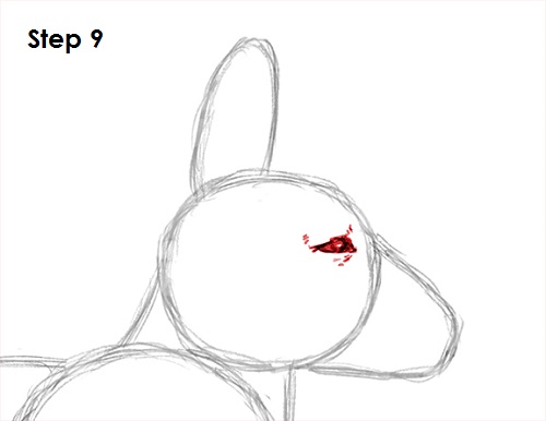 Draw Kangaroo 9
