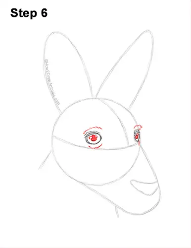 How to Draw a Red Kangaroo Head Portrait Face 6