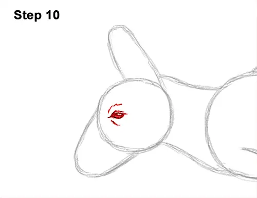 How to Draw a Red Kangaroo Jumping Hopping Leaping 10