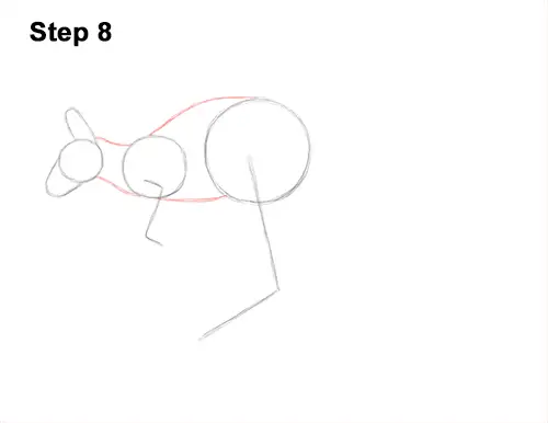 How to Draw a Red Kangaroo Jumping Hopping Leaping 8