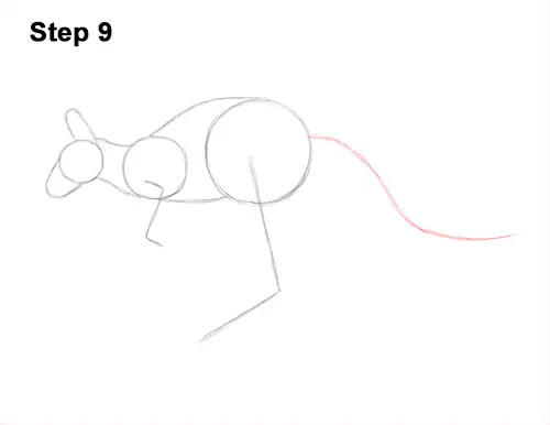 How to Draw a Red Kangaroo Jumping Hopping Leaping 9