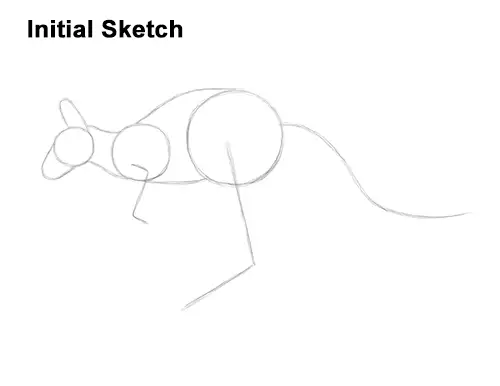 How to Draw a Red Kangaroo Jumping Hopping Leaping Guide Lines