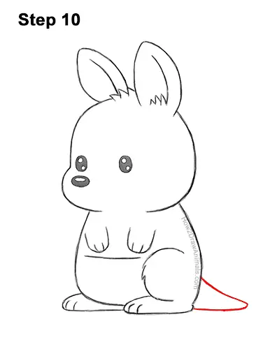 How to Draw a Cute Cartoon Kangaroo Chibi Kawaii 10