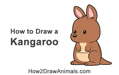 How to Draw a Cute Cartoon Kangaroo Chibi Kawaii