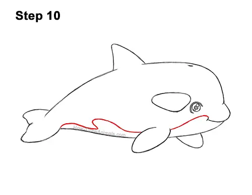 How to Draw a Cute Cartoon Killer Whale Orca Chibi Kawaii 10