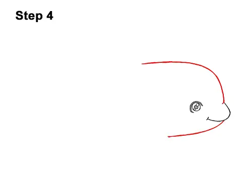 How to Draw a Cute Cartoon Killer Whale Orca Chibi Kawaii 4