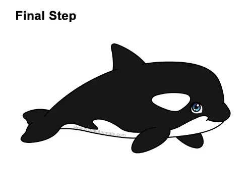 How to Draw a Cute Cartoon Killer Whale Orca Chibi Kawaii