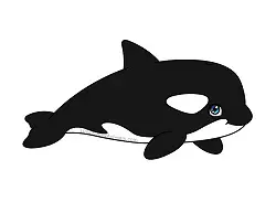 How to Draw a Cute Killer Whale Orca Cartoon Chibi Kawaii