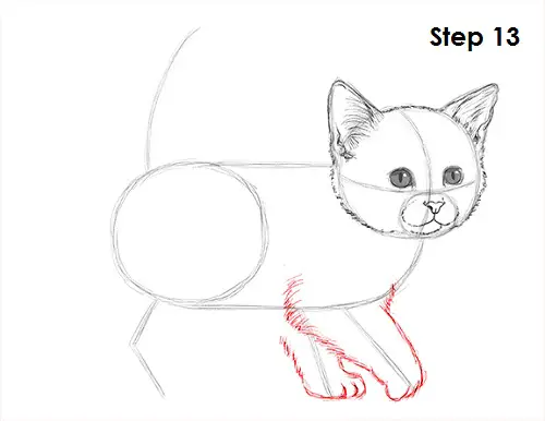 Draw Kitten 13