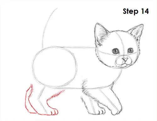 Draw Kitten 14