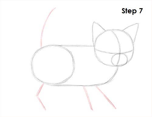 Draw Kitten 7