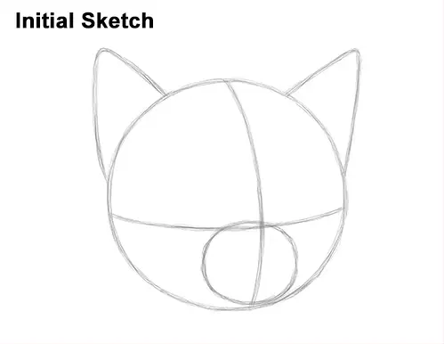 How to Draw Cute Cat Kitten Head Face Portrait Initial Guides