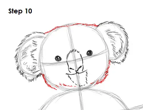 Draw Koala 10