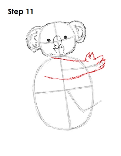 Draw Koala 11