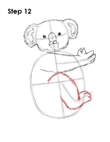 Draw Koala 12