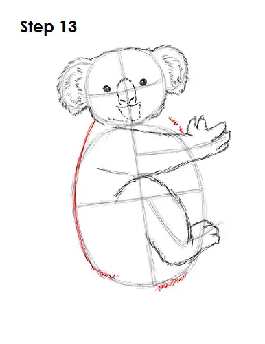 Draw Koala 13