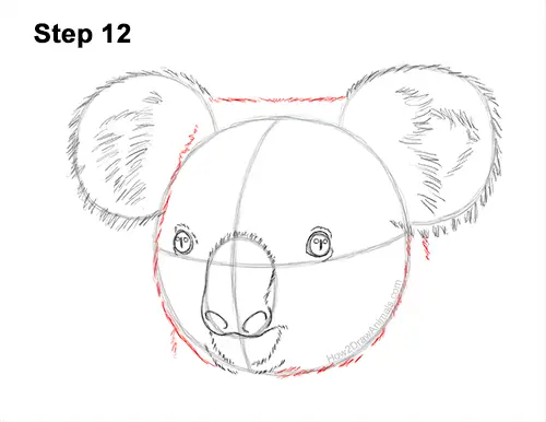 How to Draw a Koala Head Face Portrait 12