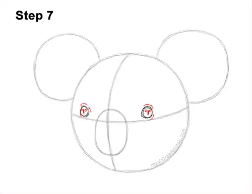 How to Draw a Koala Head Face Portrait 7