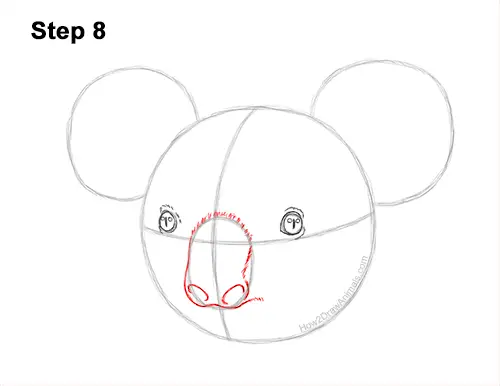 How to Draw a Koala Head Face Portrait 8