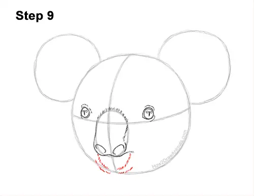 How to Draw a Koala Head Face Portrait 9