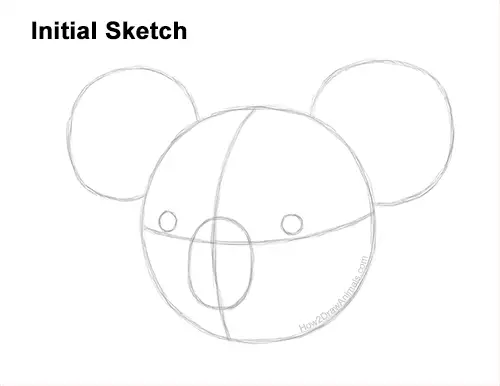 How to Draw a Koala Head Face Portrait Guides Lines