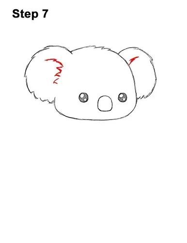 How to Draw Cute Cartoon Koala Bear 7