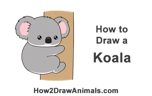 Featured image of post Koala Bear Cute Drawing - Learn how to draw cute koala pictures using these outlines or print just for coloring.