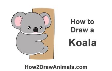 How to Draw a Koala (Cartoon) VIDEO & Step-by-Step Pictures