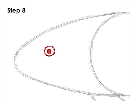 Draw Koi Fish 8