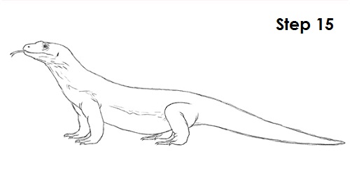 Top How To Draw A Komodo Dragon  The ultimate guide 