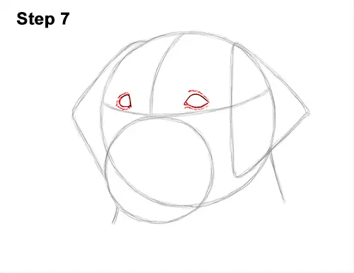 How to Draw Dog Labrador Retriever Head Portrait 7