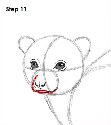 Draw Lemur 11