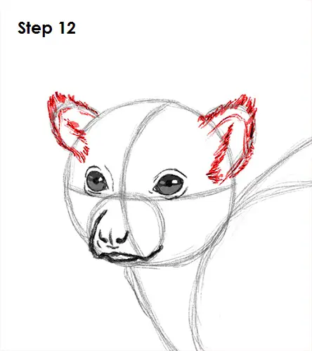 Draw Lemur 12