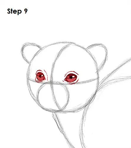 Draw Lemur 9