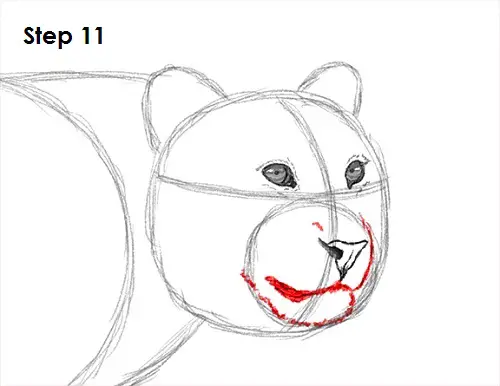 Draw a Leopard 11