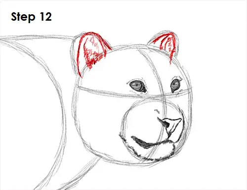 Draw a Leopard 12
