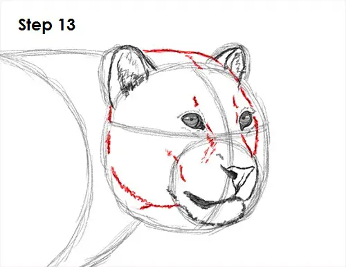 Draw a Leopard 13