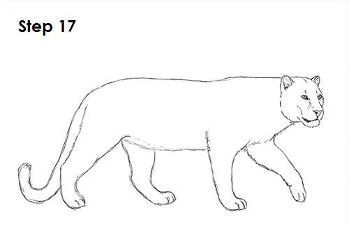 Draw a Leopard 17